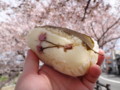 [京都][出町柳][桜][食][food]