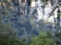 [白川水源][熊本県][南阿蘇村][阿蘇][水]