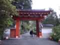 [三室戸寺][宇治市][あじさい][アジサイ][紫陽花][京都][夜][ライトアップ]