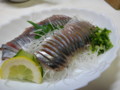 [食][刺身][お造り][サンマ][秋刀魚][さんま][魚]