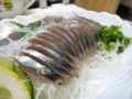 [食][刺身][お造り][サンマ][秋刀魚][さんま][魚]