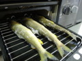 [食][鮎][塩焼き][魚]