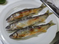 [食][鮎][塩焼き][魚]