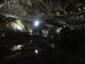 [秋芳洞][秋吉台][鍾乳洞][山口][山口県][美祢市][秋芳町]