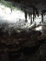 [秋芳洞][秋吉台][鍾乳洞][山口][山口県][美祢市][秋芳町]