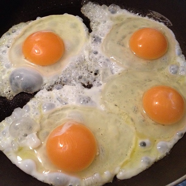 f:id:trini:20130306003632j:plain f:id:trini:20130306003632j:plain