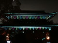 [京都][東山][花灯路][夜][夜景][DSC-TX300V]