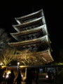 [京都][東山][花灯路][夜][夜景][DSC-TX300V]