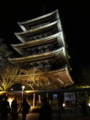 [京都][東山][花灯路][夜][夜景][DSC-TX300V]