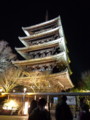 [京都][東山][花灯路][夜][夜景]