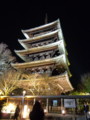 [京都][東山][花灯路][夜][夜景]