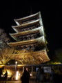 [京都][東山][花灯路][夜][夜景]