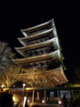 [京都][東山][花灯路][夜][夜景]