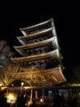 [京都][東山][花灯路][夜][夜景]