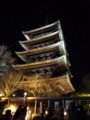 [京都][東山][花灯路][夜][夜景]