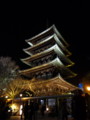 [京都][東山][花灯路][夜][夜景]