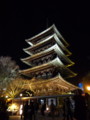 [京都][東山][花灯路][夜][夜景]