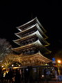 [京都][東山][花灯路][夜][夜景]