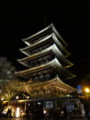 [京都][東山][花灯路][夜][夜景][DSC-TX300V]