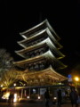 [京都][東山][花灯路][夜][夜景][DSC-TX300V]