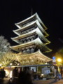 [京都][東山][花灯路][夜][夜景][DSC-TX300V]