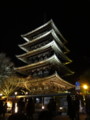 [京都][東山][花灯路][夜][夜景][DSC-TX300V]