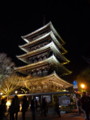 [京都][東山][花灯路][夜][夜景]