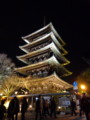 [京都][東山][花灯路][夜][夜景]