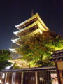 [京都][東山][花灯路][夜][夜景]