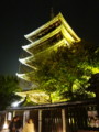 [京都][東山][花灯路][夜][夜景][DSC-TX300V]