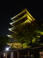 [京都][東山][花灯路][夜][夜景][DSC-TX300V]