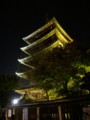 [京都][東山][花灯路][夜][夜景][DSC-TX300V]