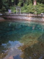 [別府弁天池][山口県][美祢市][秋芳町][名水百選]