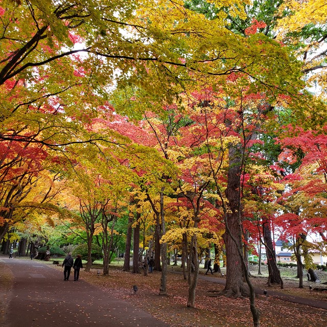 f:id:trio_kaitori:20211027192838j:image f:id:trio_kaitori:20211027192838j:image