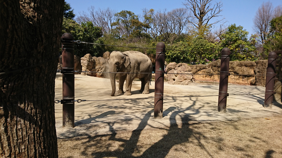 f:id:triobog:20190321142528j:plain