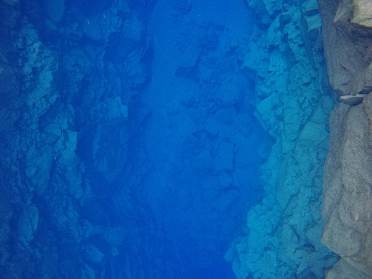 f:id:trip-lover:20200215111301j:plain f:id:trip-lover:20200215111301j:plain