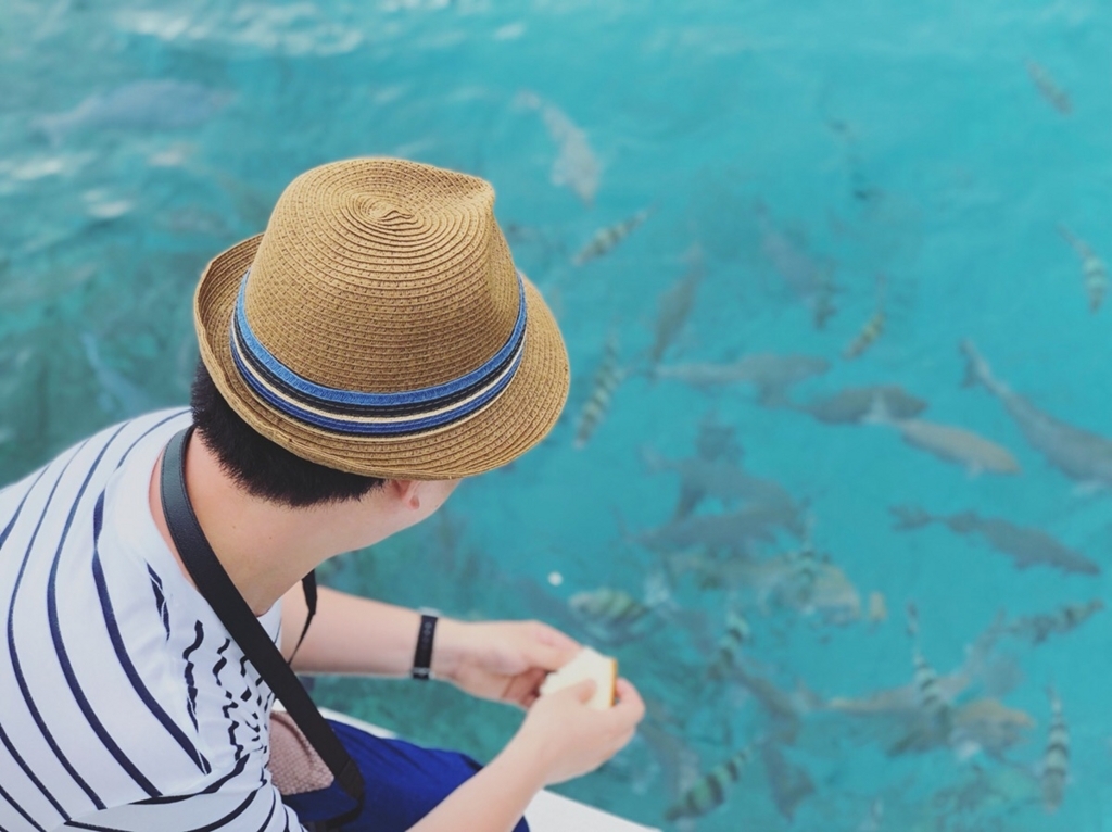 f:id:trip_note:20180827144337j:plain f:id:trip_note:20180827144337j:plain