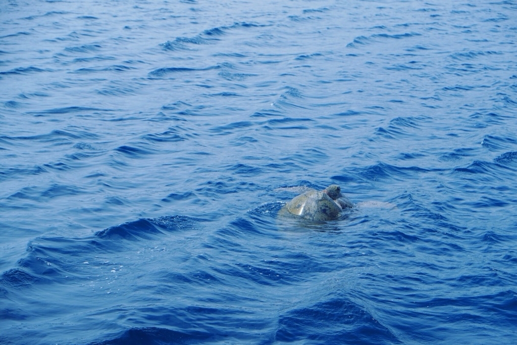 f:id:trip_note:20180827150502j:plain f:id:trip_note:20180827150502j:plain