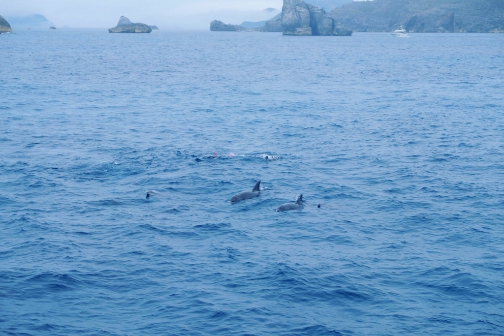 f:id:trip_note:20180827152514j:plain f:id:trip_note:20180827152514j:plain