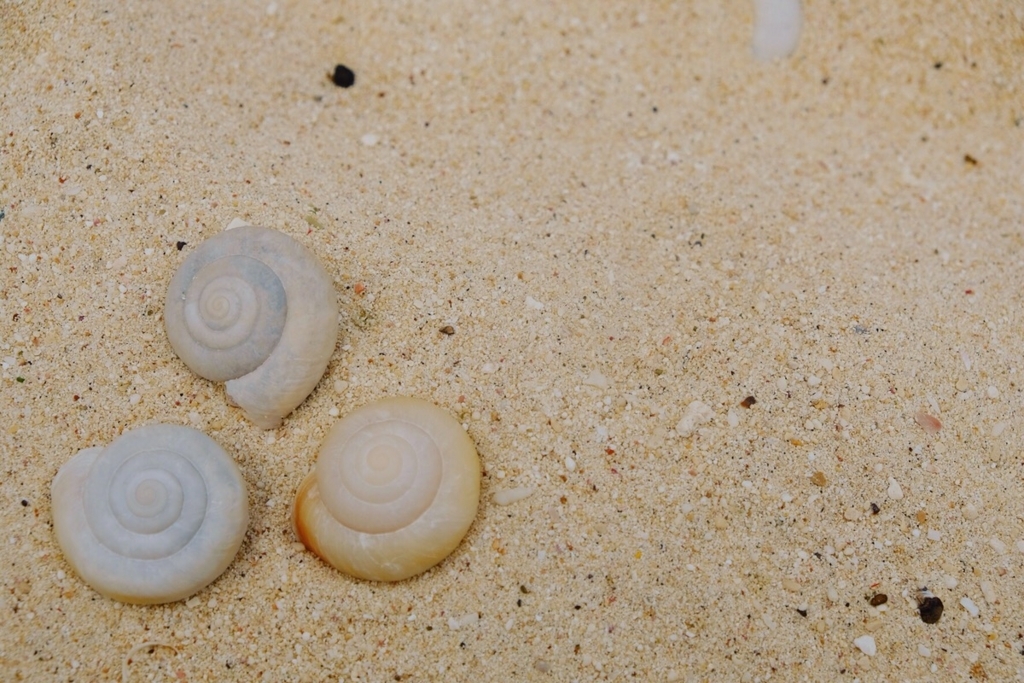 f:id:trip_note:20180827153922j:plain f:id:trip_note:20180827153922j:plain