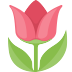 f:id:trip_note:20181026145818p:plain