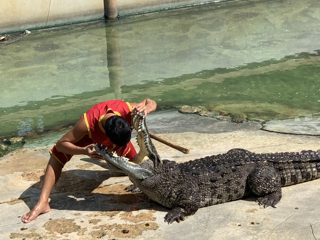 f:id:trip_note:20181128124759j:plain