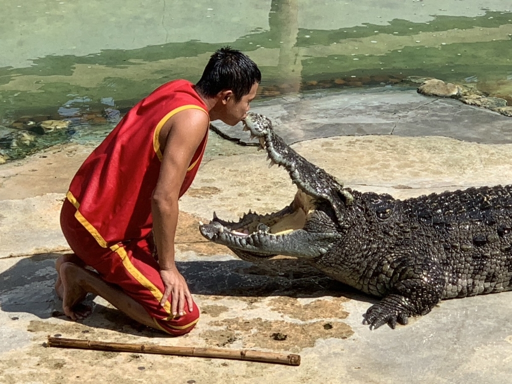 f:id:trip_note:20181128124809j:plain