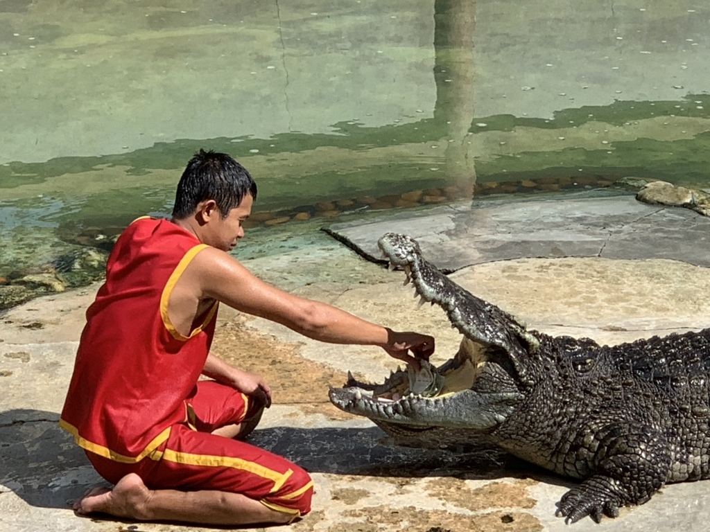 f:id:trip_note:20181128124817j:plain