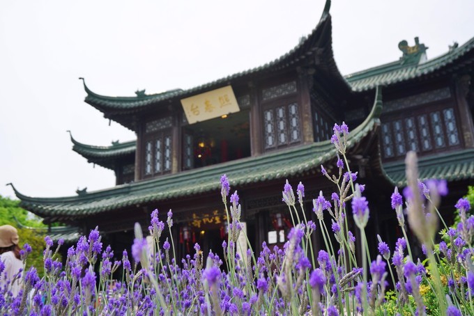 f:id:trip_note:20190216194656j:plain
