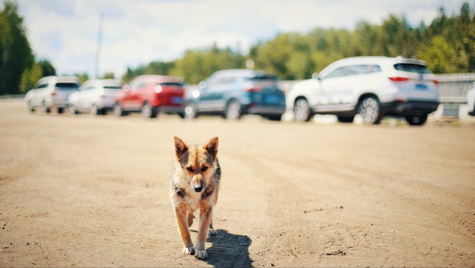 f:id:trip_note:20190323151232j:plain f:id:trip_note:20190323151232j:plain