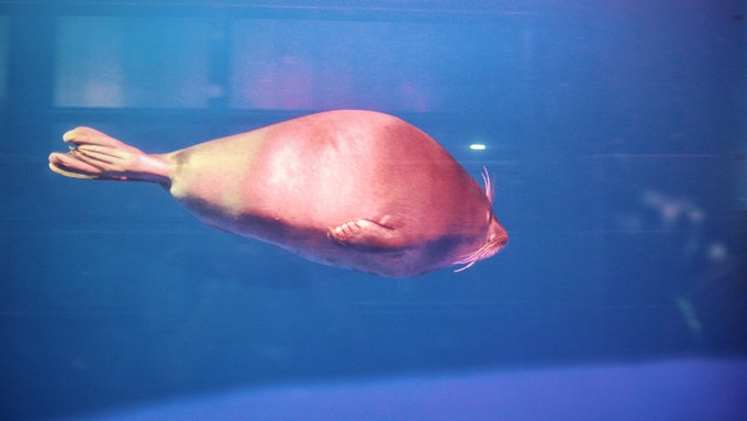 f:id:trip_note:20190323165900j:plain f:id:trip_note:20190323165900j:plain