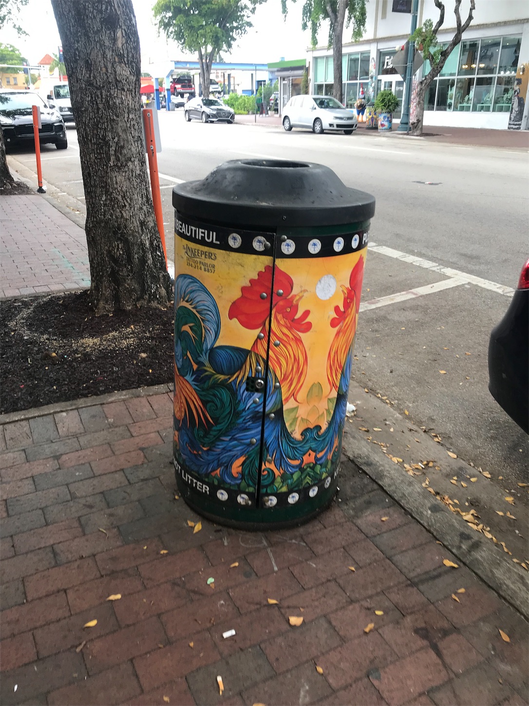 リトルハバナ_littlehavana リトルハバナ_littlehavana