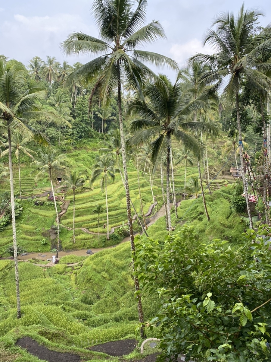 f:id:tripadviser:20200505211921j:plain