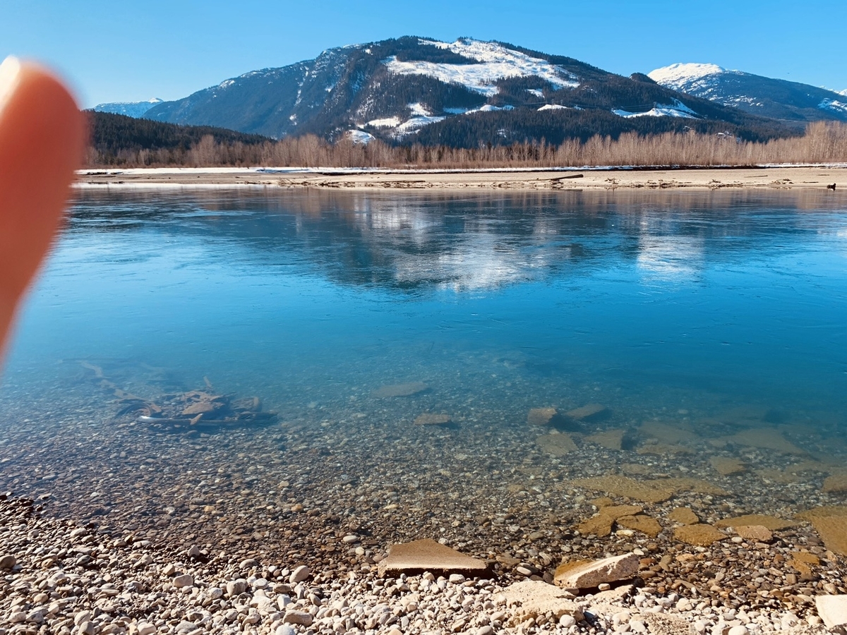 f:id:tripadviser:20200508154051j:plain